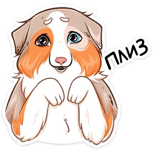 Стикер «Аусси Раф-4»