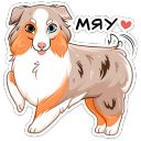 Набор стикеров «Аусси Раф»