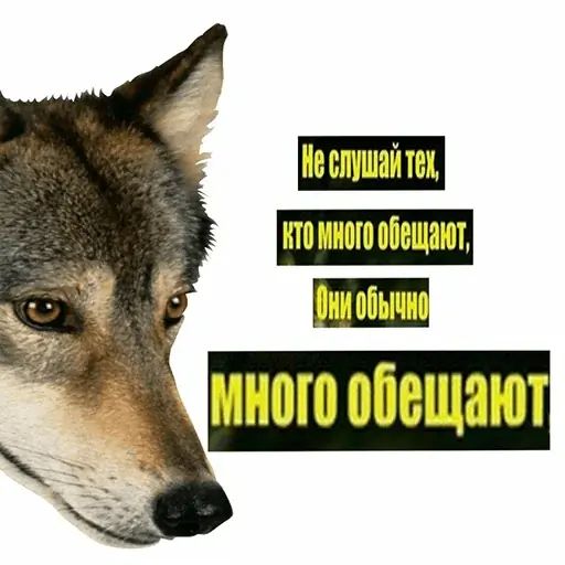 Стикер «Сильный не тот, кто сильный-10»