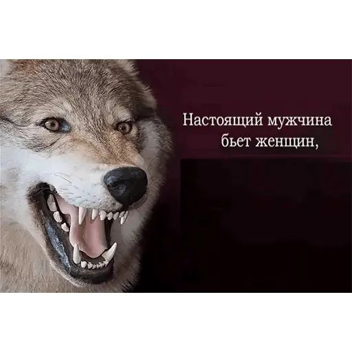 Стикер «Сильный не тот, кто сильный-12»