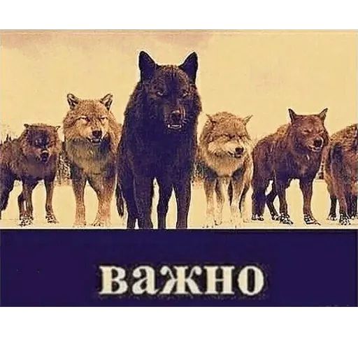 Стикер «Сильный не тот, кто сильный-3»
