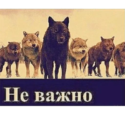 Стикер «Сильный не тот, кто сильный-4»