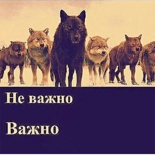 Стикер «Сильный не тот, кто сильный-5»