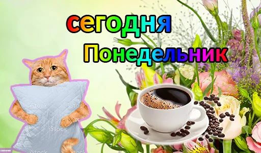Стикер «Дни недели-1»