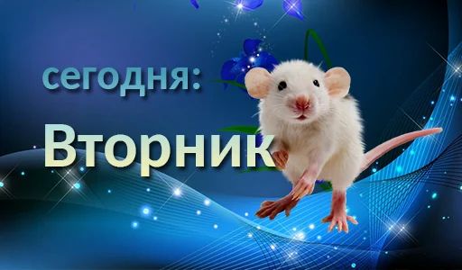 Стикер «Дни недели-2»