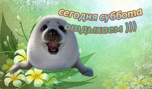 Стикер «Дни недели-6»
