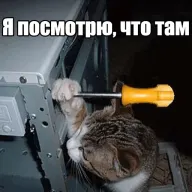 38.webp