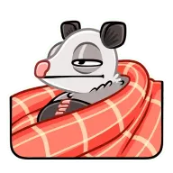 32.webp