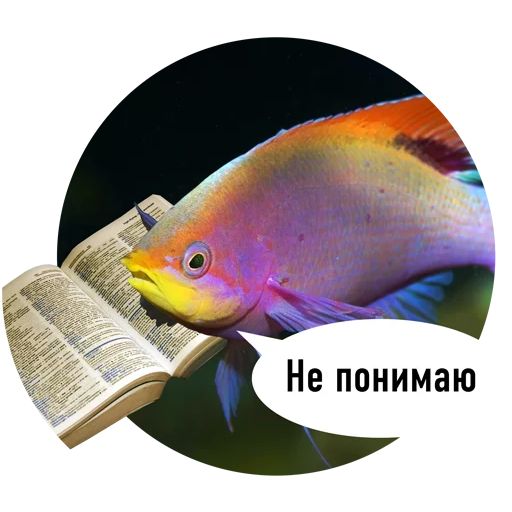 Стикер «Рыбы пытаются читать-1»