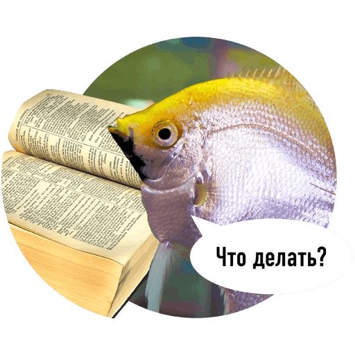 Стикер «Рыбы пытаются читать-10»