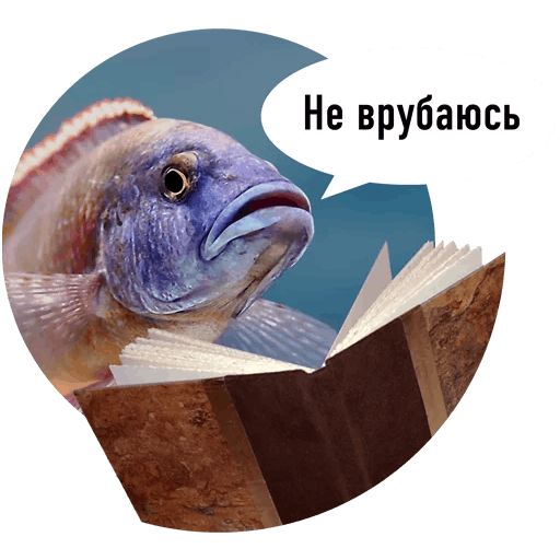 Стикер «Рыбы пытаются читать-12»