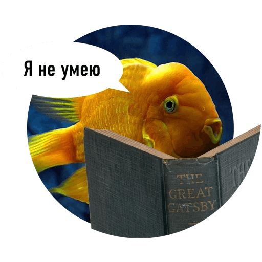Стикер «Рыбы пытаются читать-2»