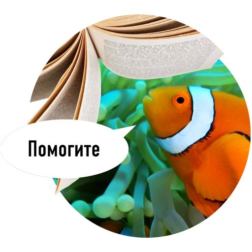 Стикер «Рыбы пытаются читать-3»