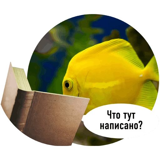 Стикер «Рыбы пытаются читать-4»