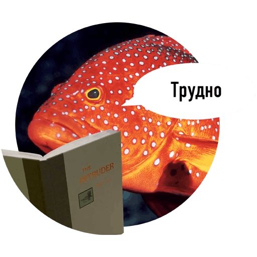 Стикер «Рыбы пытаются читать-7»