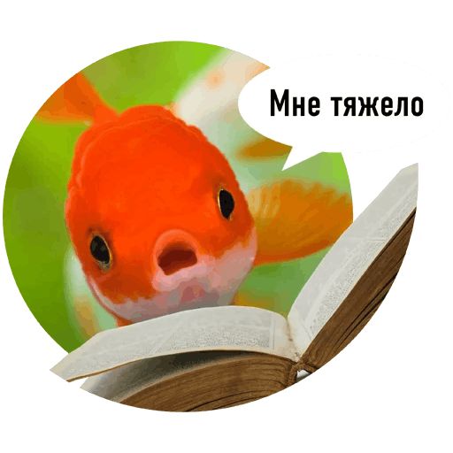 Стикер «Рыбы пытаются читать-8»