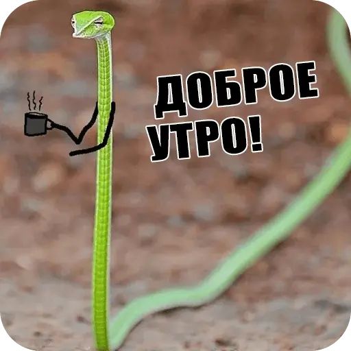 Стикер «Забавные змейки-3»