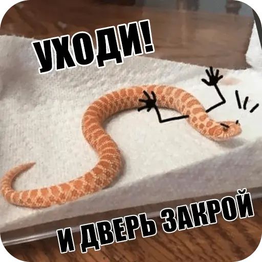 Стикер «Забавные змейки-5»