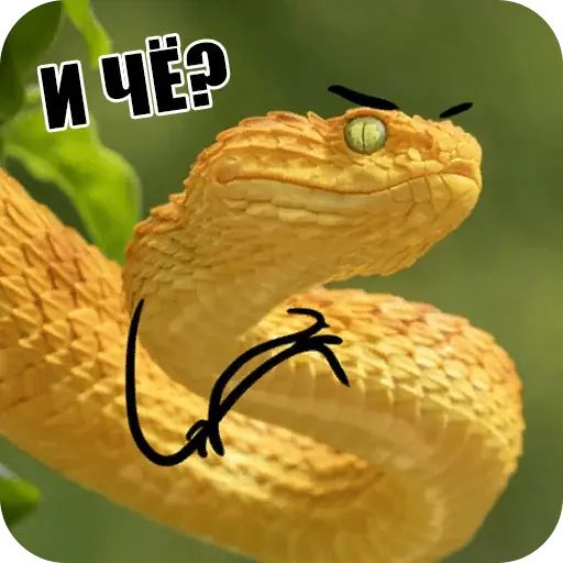 Стикер «Забавные змейки-9»
