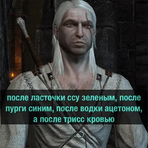 Стикер «Ведьмак - Деградач-1»