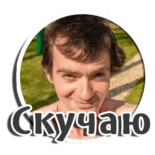 Стикер «Венцеслав Венгржановский-2»