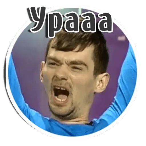 Стикер «Венцеслав Венгржановский-4»