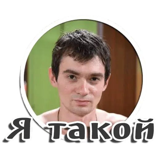 Стикер «Венцеслав Венгржановский-7»
