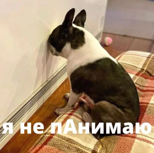 Стикер «Бульдог-мемы-8»