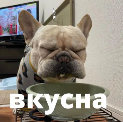 Стикер «Бульдог-мемы-9»