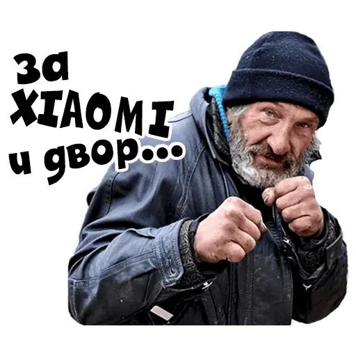 Стикер «Xiaomi-1»