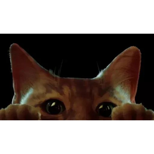 Стикер «Stray-1»