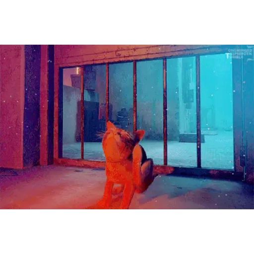 Стикер «Stray-10»