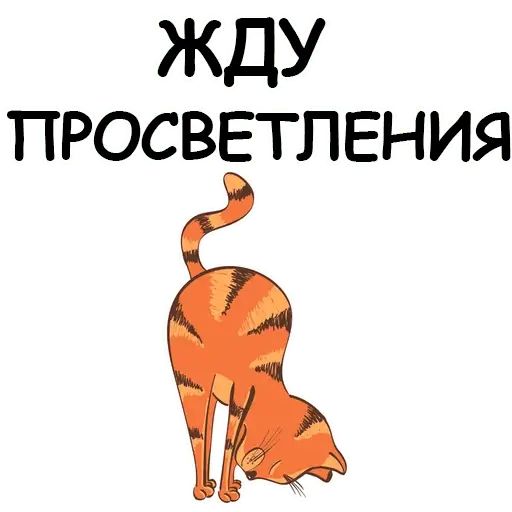 Стикер «Йога с котом и лисичкой-2»