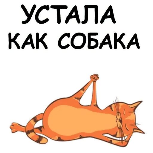 Стикер «Йога с котом и лисичкой-5»