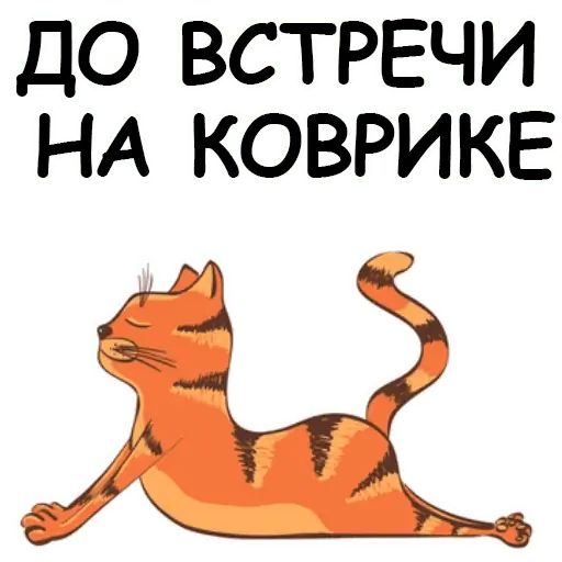 Стикер «Йога с котом и лисичкой-8»
