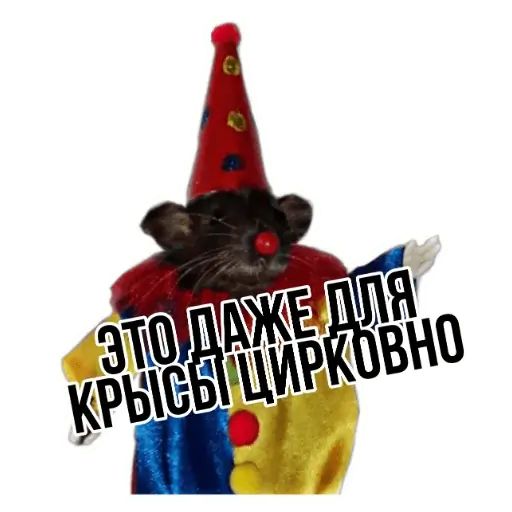 Стикер «Типичные крысы-1»