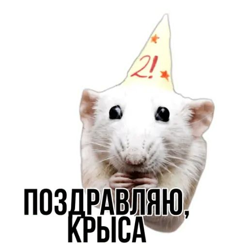 Стикер «Типичные крысы-5»