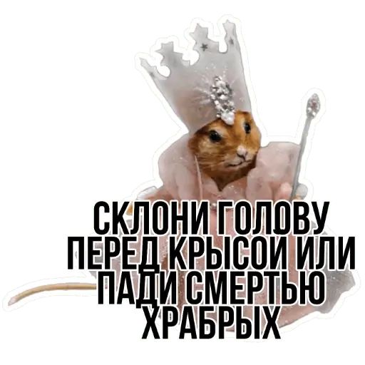 Стикер «Типичные крысы-6»