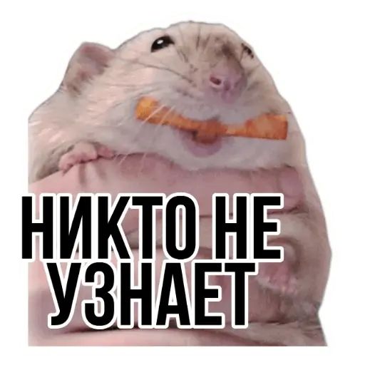 Стикер «Типичные крысы-7»