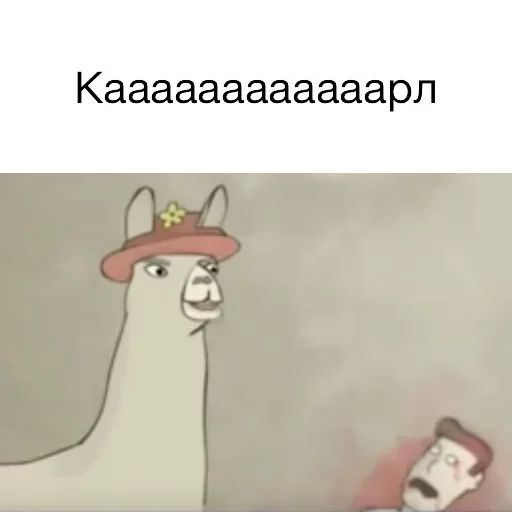 Стикер «Вопросы от ламы-1»