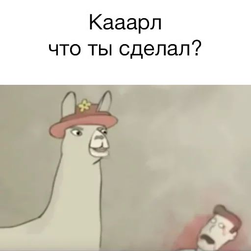 Стикер «Вопросы от ламы-11»