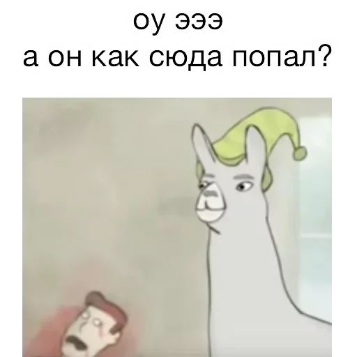 Стикер «Вопросы от ламы-5»