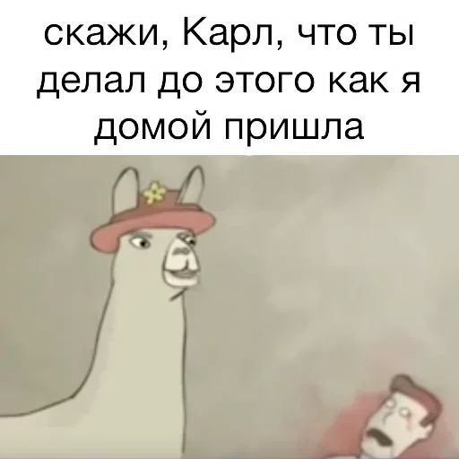 Стикер «Вопросы от ламы-6»