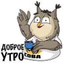 Набор стикеров «Сова - душа компании»