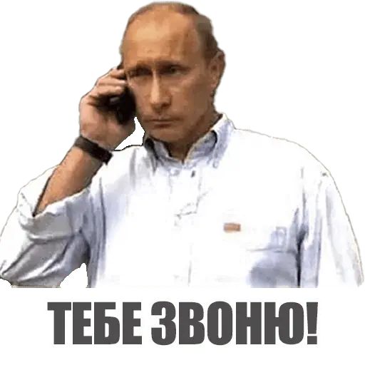 Стикер «Михал Палыч-10»