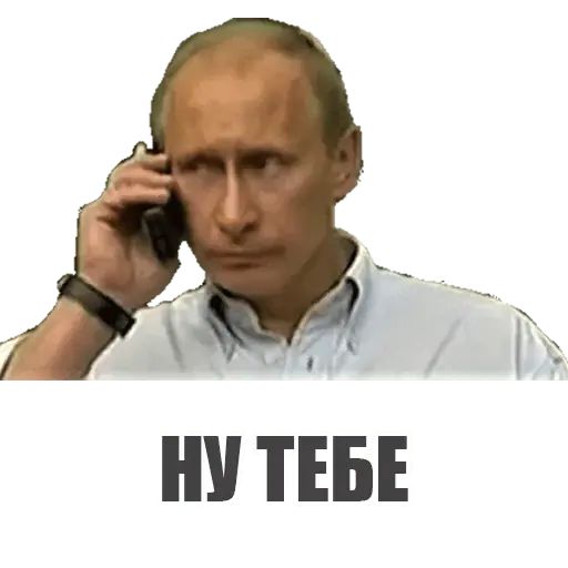 Стикер «Михал Палыч-12»