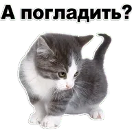 28.webp
