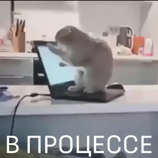 Стикер «Вечные хиты-10»