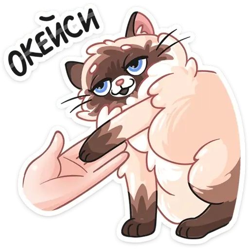 Стикер «Сиамский сахарок-8»