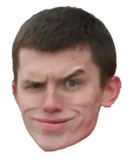 Стикер «Михаил Литвин-1»